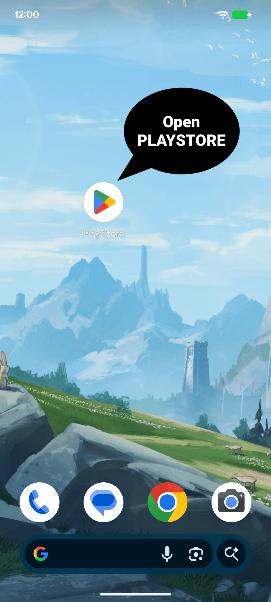 Play Store on Android home screen with app icon